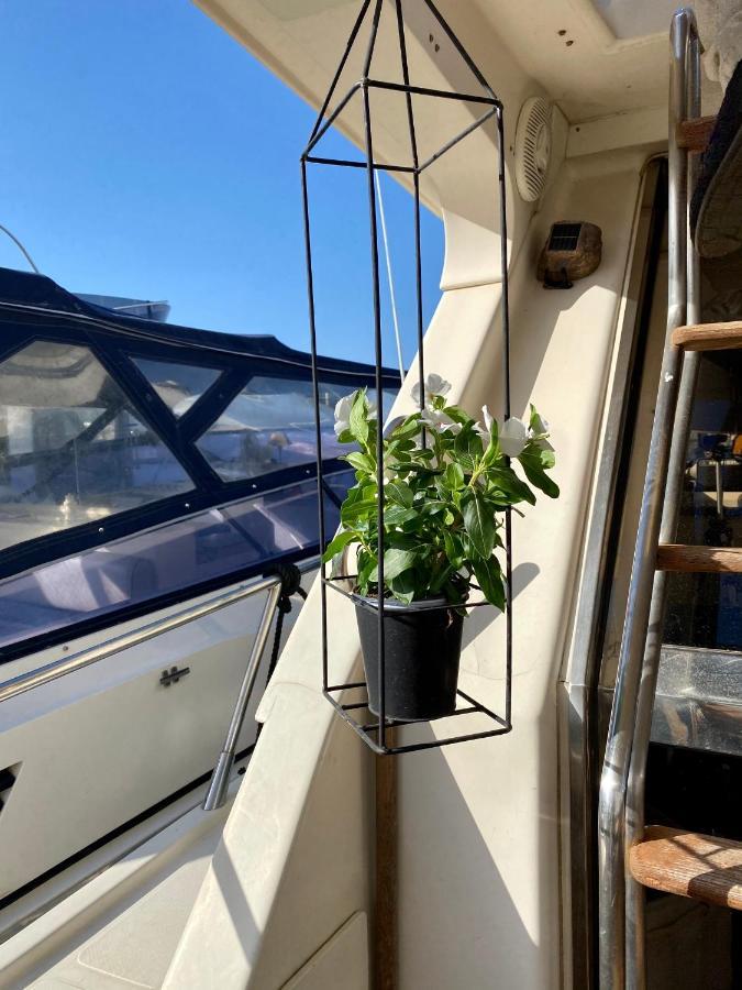 ホテルPanaby Houseboat パレルモ エクステリア 写真
